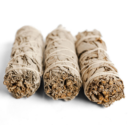 White sage bundles